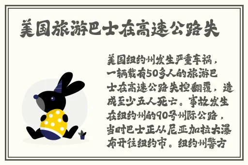 班主任的兔子又大又圆