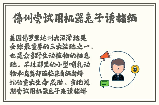 9.1免费网站平台